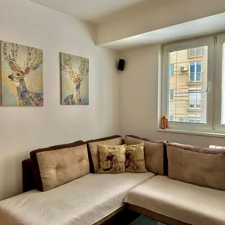 Apartment Modern & Cozy